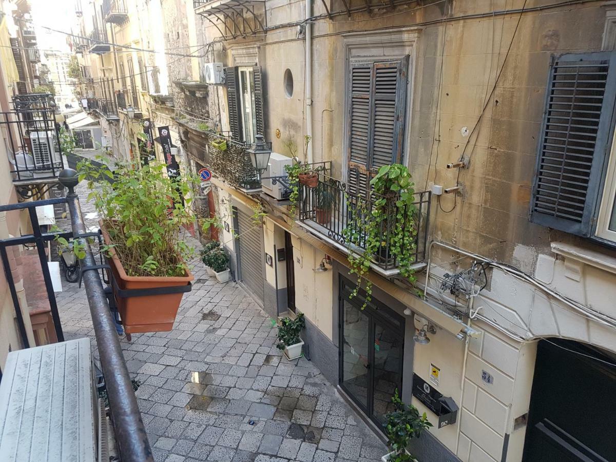 " Sicilian Cottage " Apartment Old Historic Center 팔레르모 외부 사진